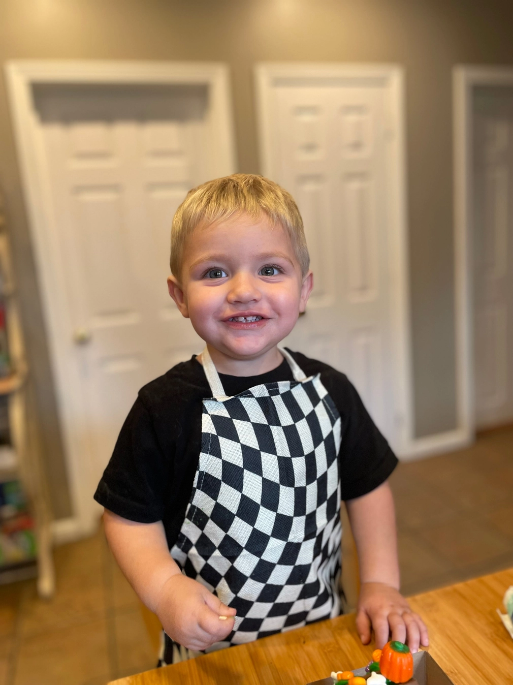 Black Check Child Apron