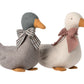 Duck - Sand