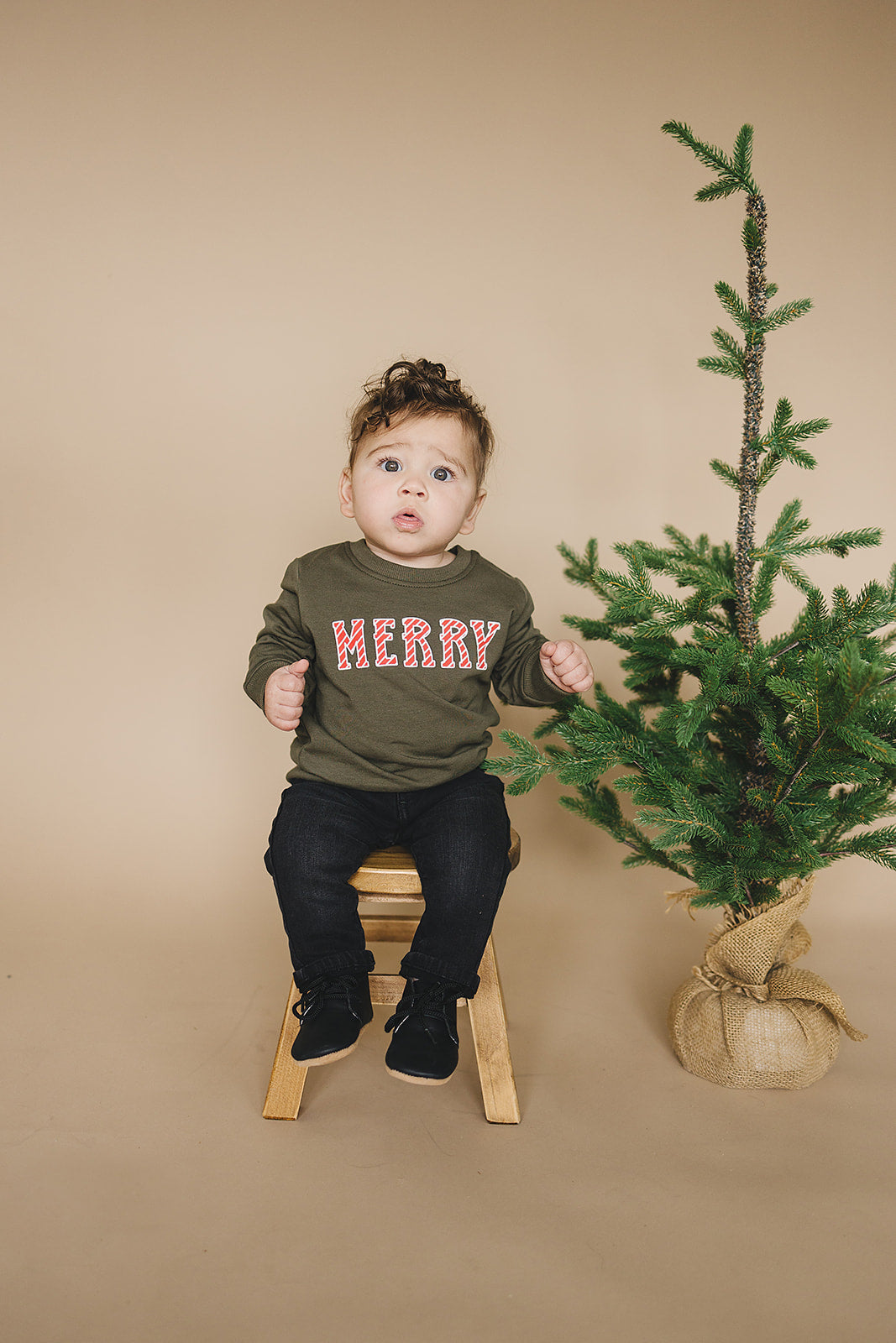 Olive Merry French Terry Crew Neck