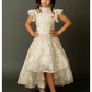 Toddler Kristy Petticoat Dress in Cream Metallic