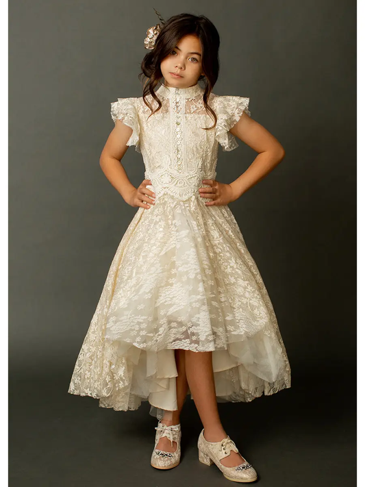 Toddler Kristy Petticoat Dress in Cream Metallic