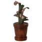 Flower pot with plant, Miniature