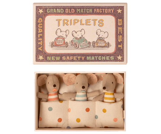 Triplets, Baby Mice in Matchbox